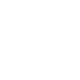 ce logo Arnprior